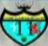 11 Bravos Calundo