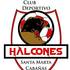 Halcones